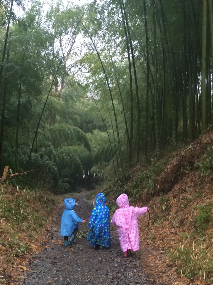 雨の中、森のようちえんスタート