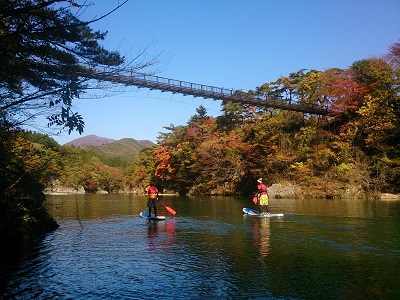 日光紅葉情報（最終回）