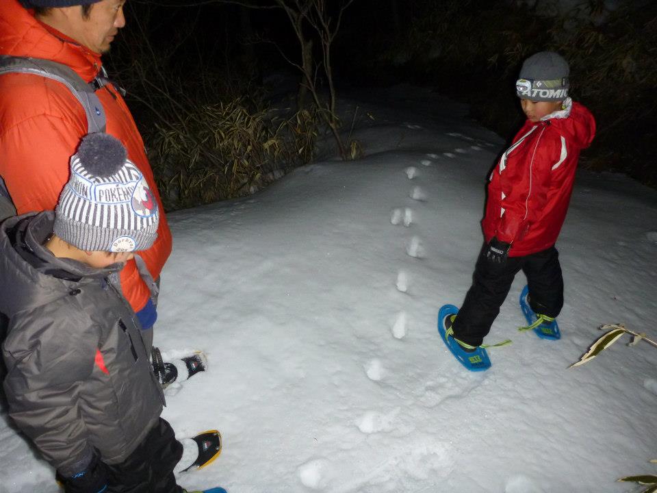 月明かりで雪の夜の森探検