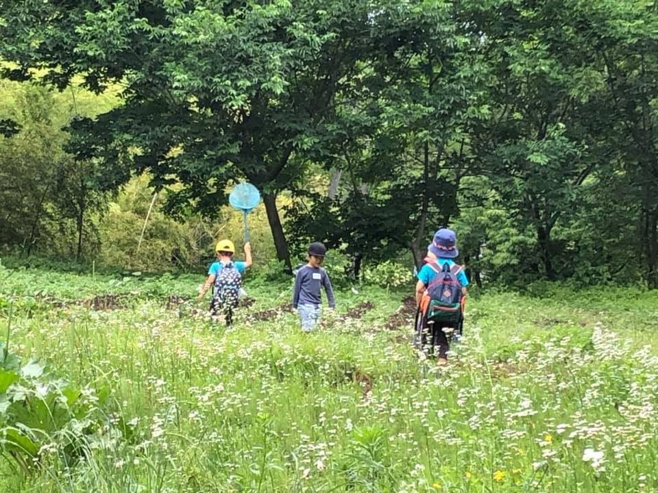 休校で居場所がない子どもたちに『森の学童計画」はじまります！