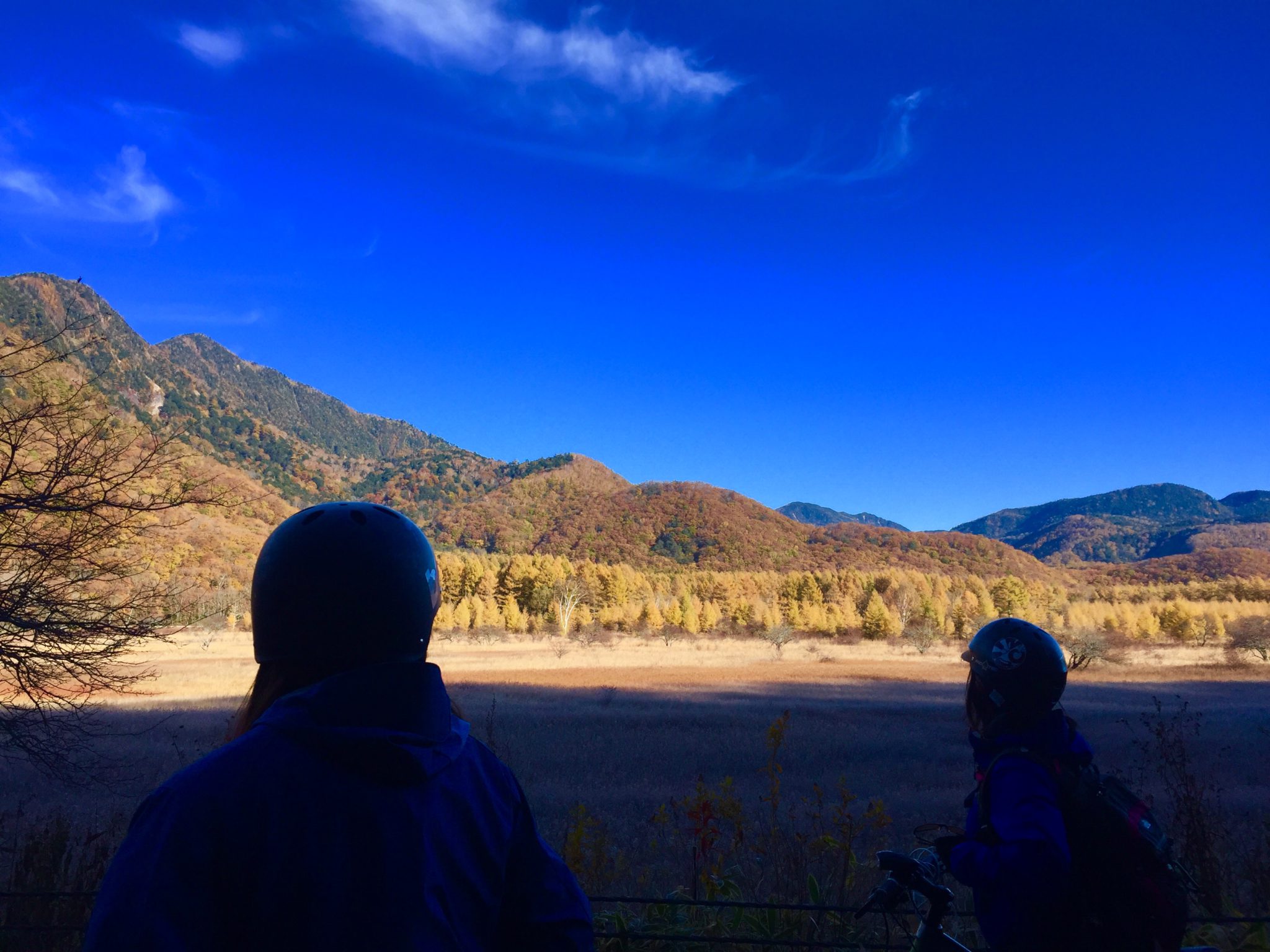 日光の紅葉、いよいよ始まりました