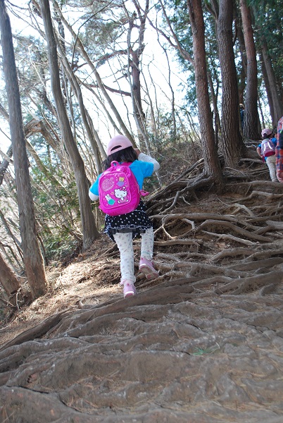 「あおぞらきっず」のチャレンジ登山