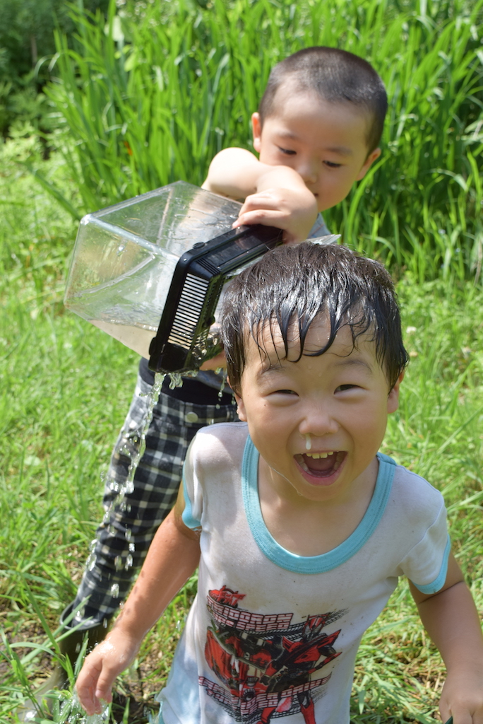 夏が来た　暑けりゃ川遊びも大胆に　森のようちえん