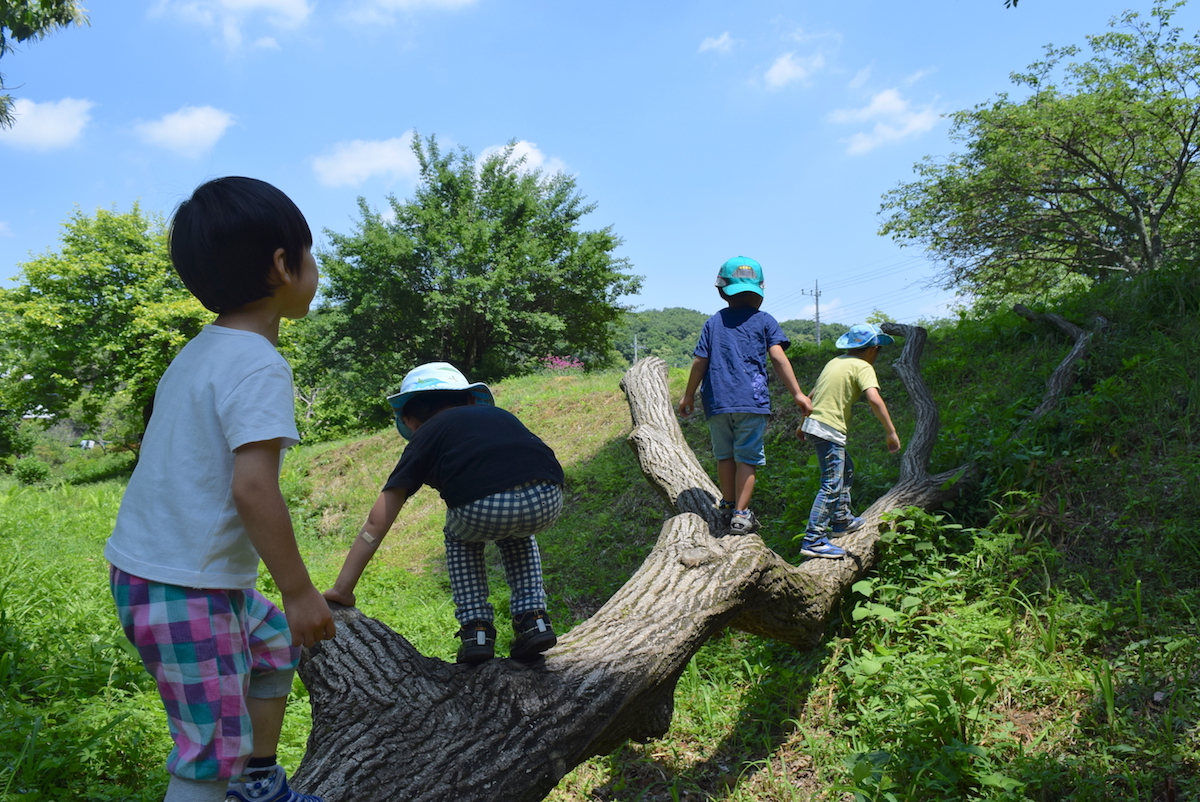 第３回　一本橋に挑戦　遊びで培う36の基本動作