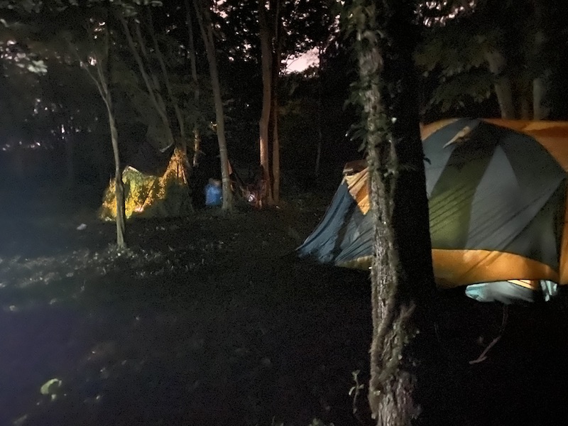 野に宿すキャンプ