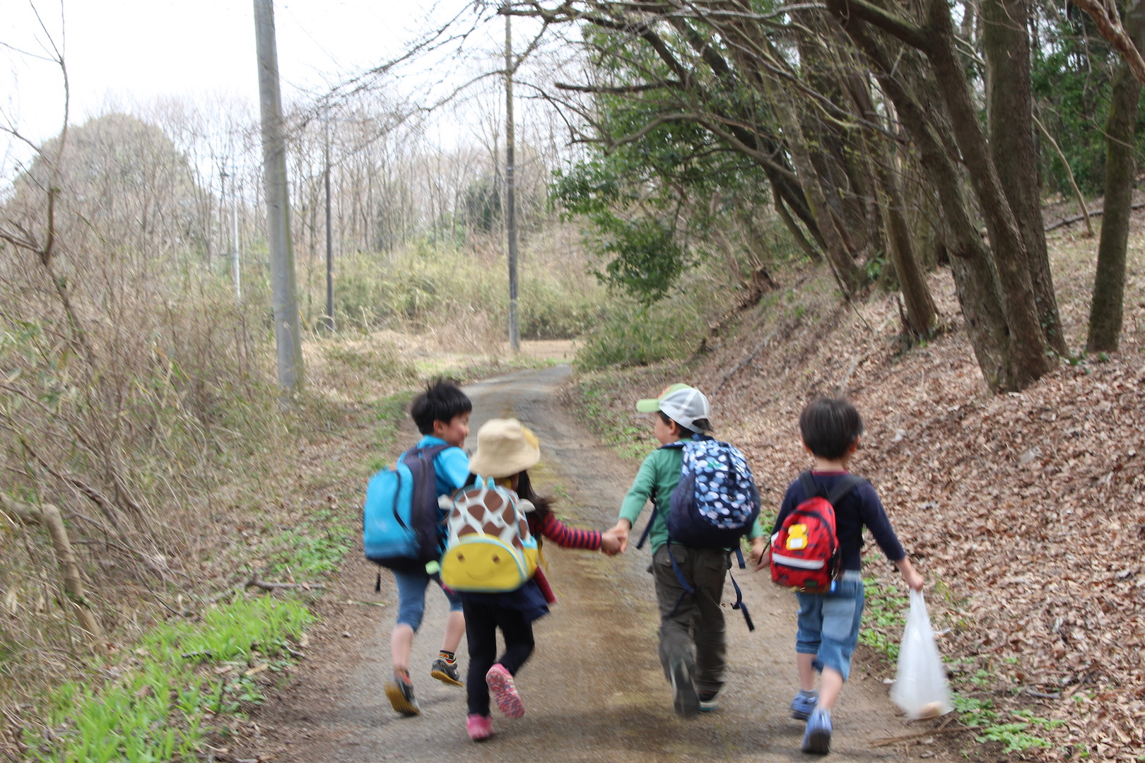 全ては次に繋がっていく。森のようちえん