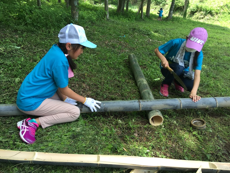 お宝発見 森のトレハン