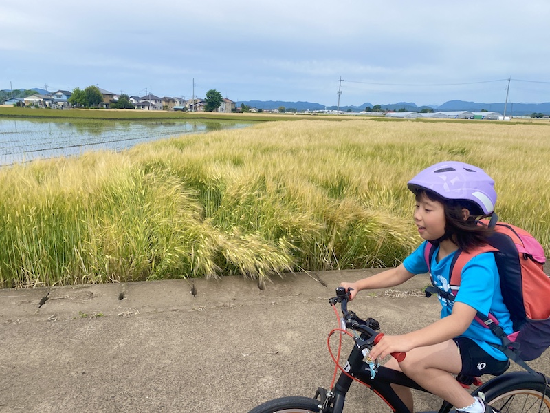 秋は自転車旅にちょうどいい季節