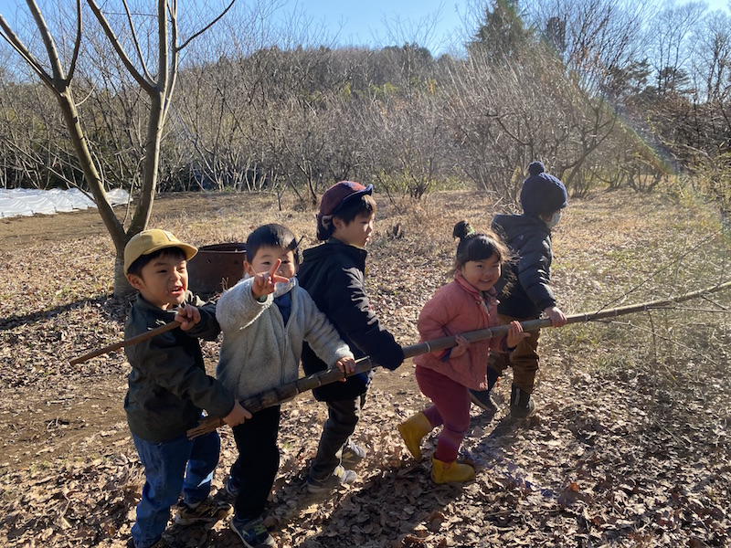 寒い日の森の過ごし方