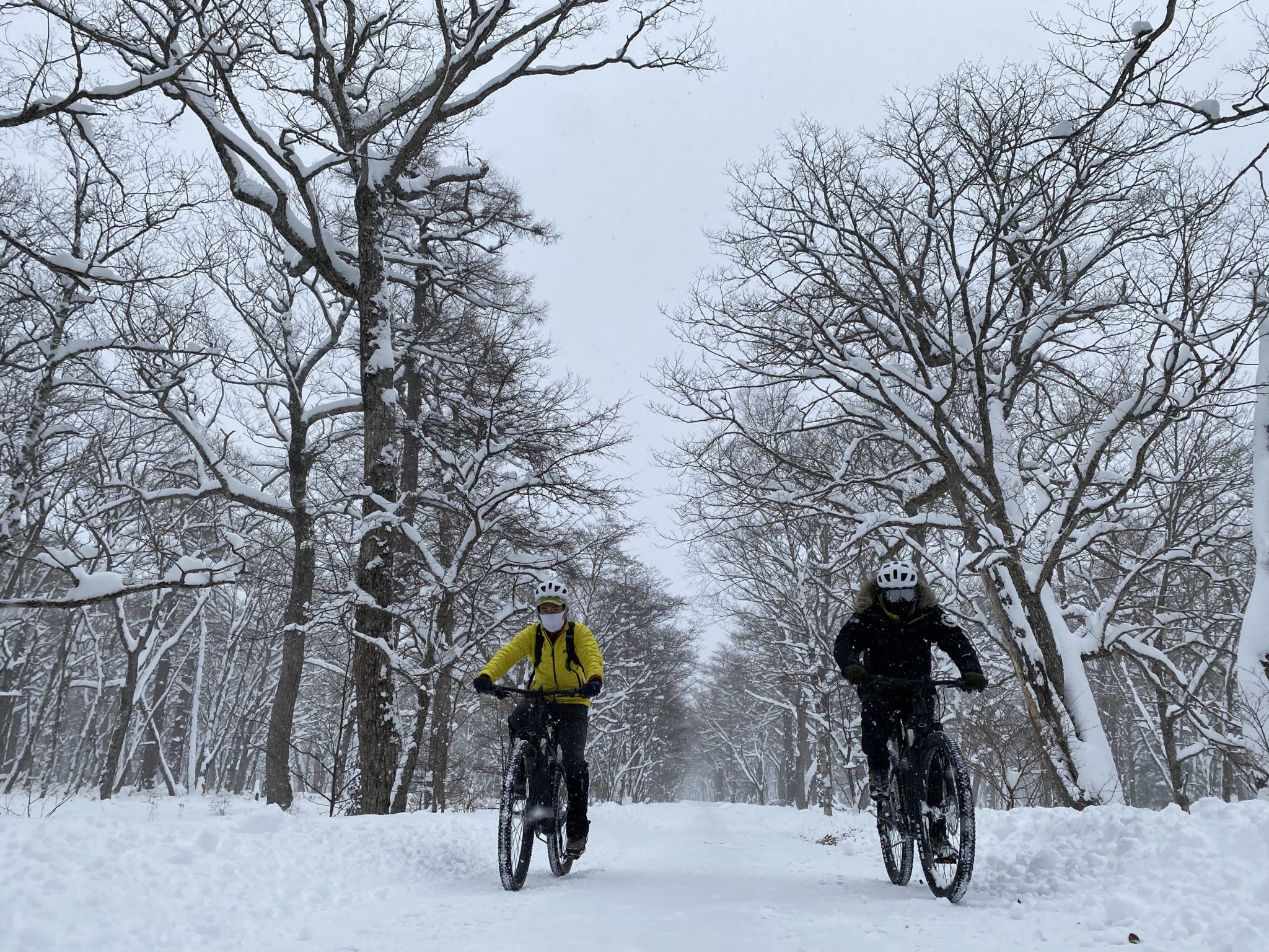 Snow cyclingやってきました