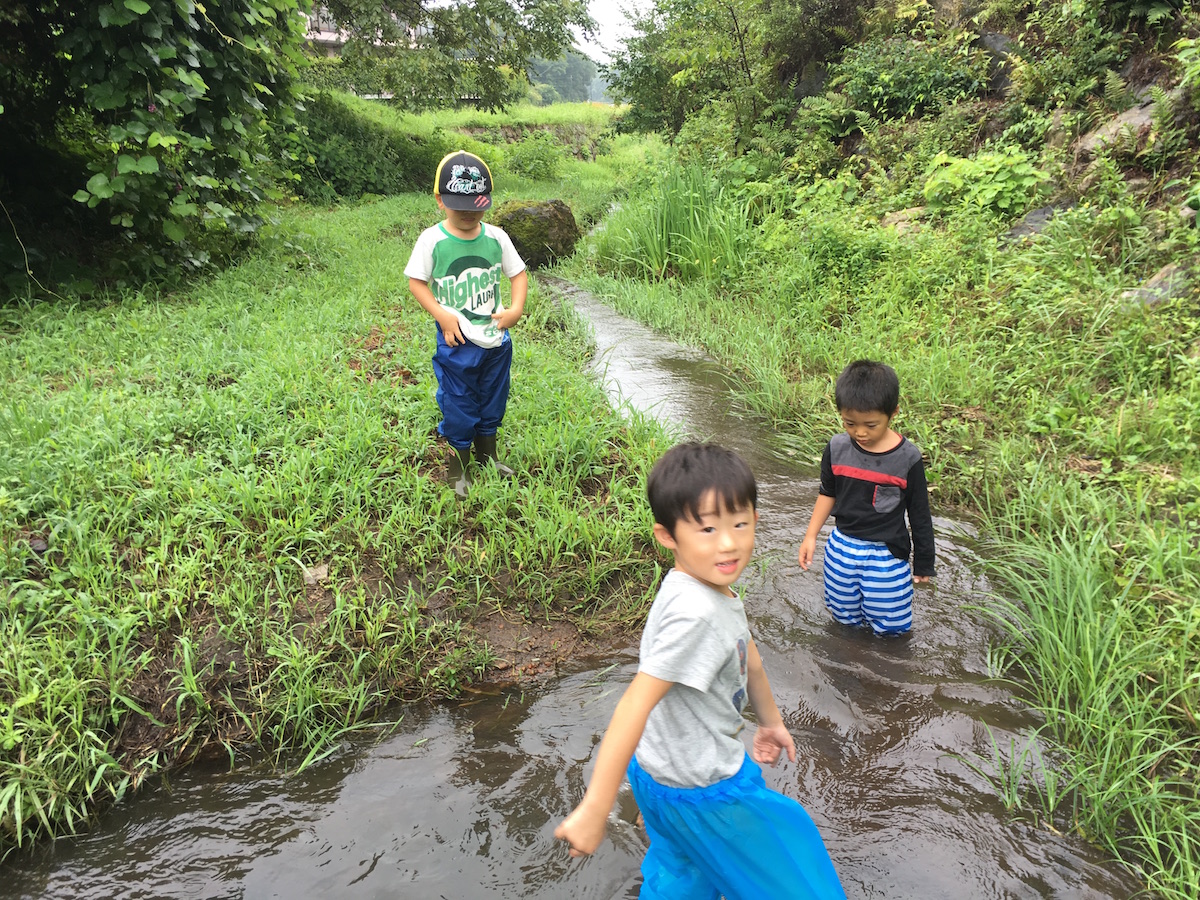 雨の森のようちえんもまた楽しい　あえて濡れて楽しむ