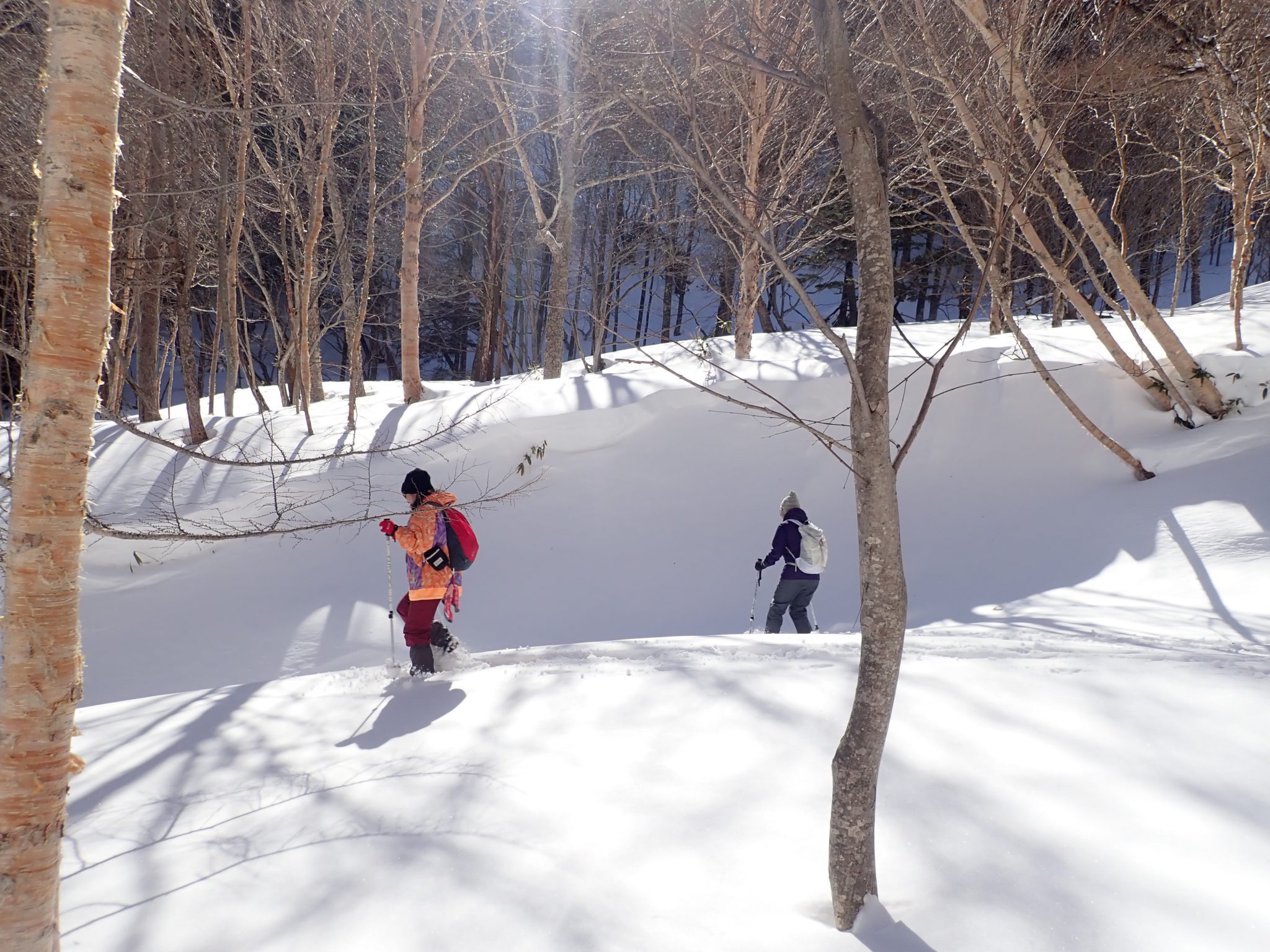 Oku-Nikko Snowshoeing