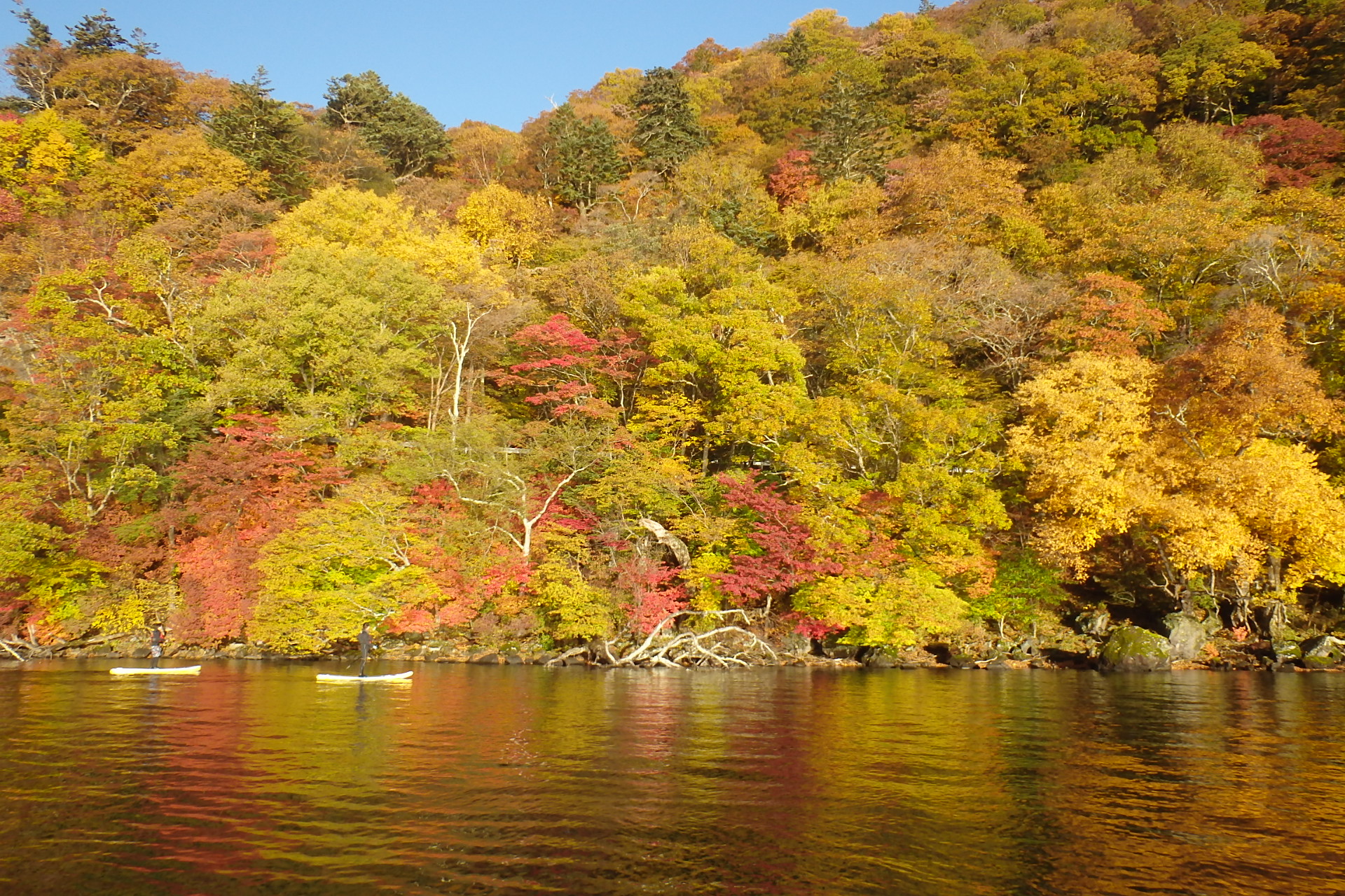 NAOCからお届けする日光・紅葉情報