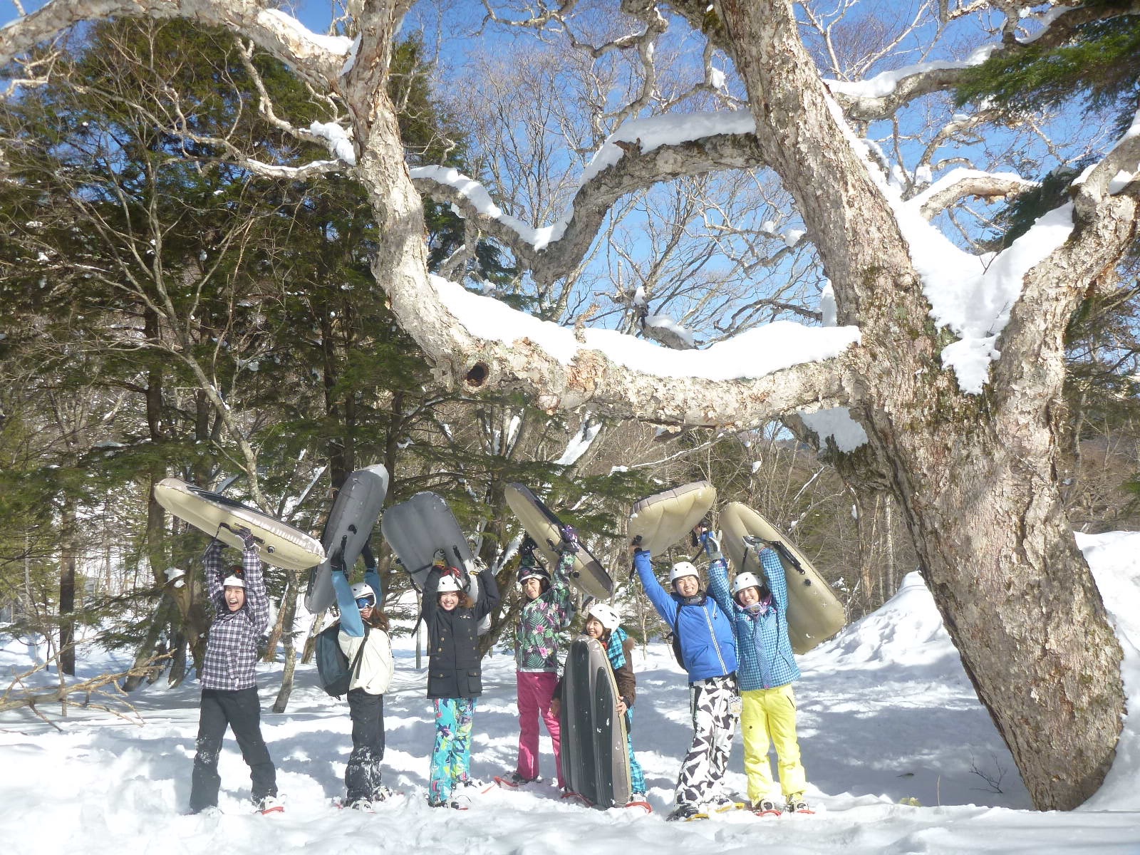 もう３月　春はすぐそこ