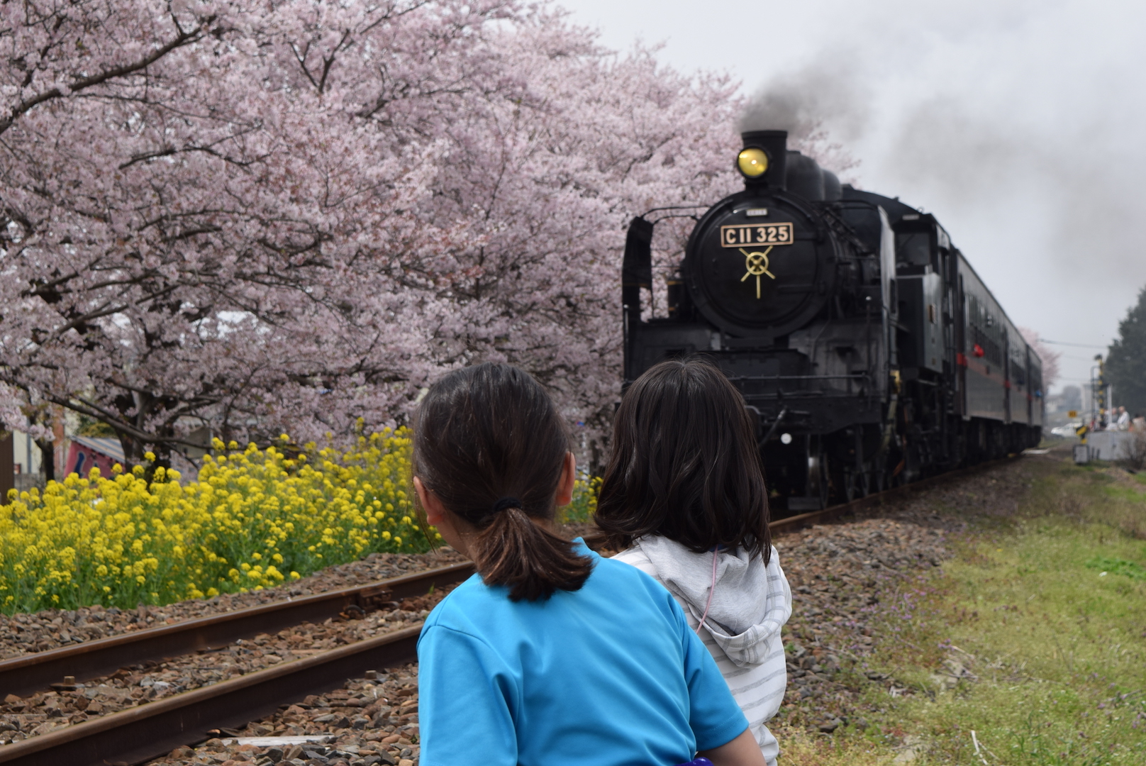 春。お花見チャリ旅