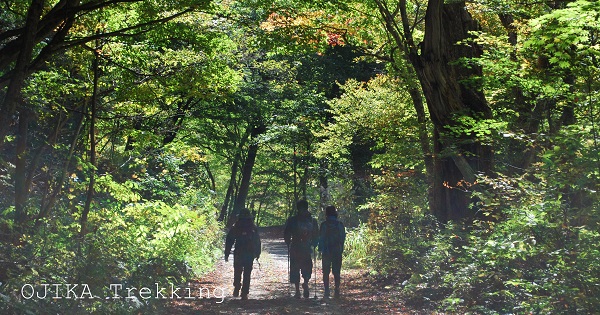 トレッキング-Ojika trail-