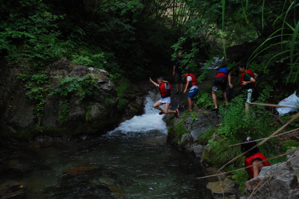 image1