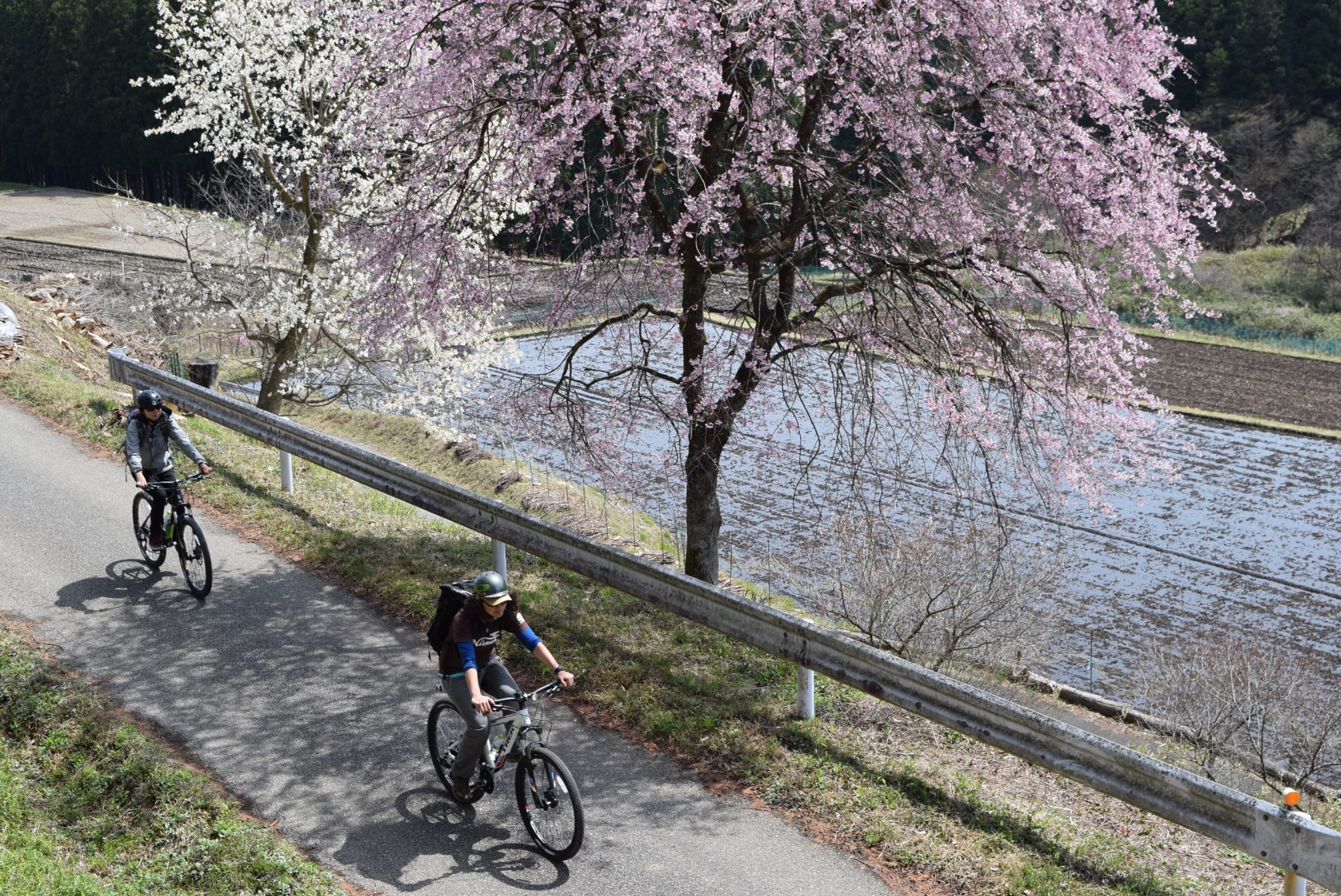 冬の終わりと春のサイクリング