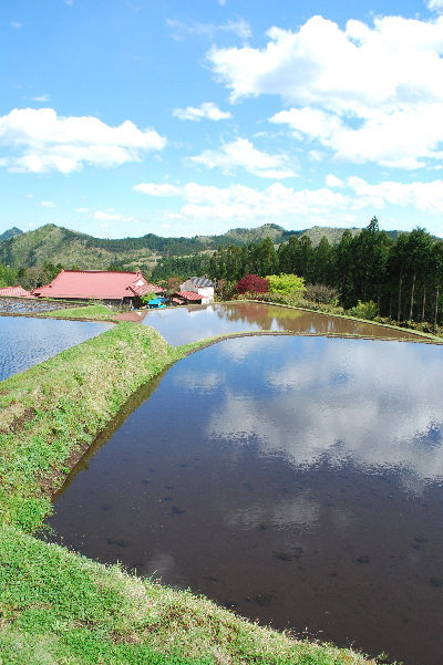 tanada090426e291a1